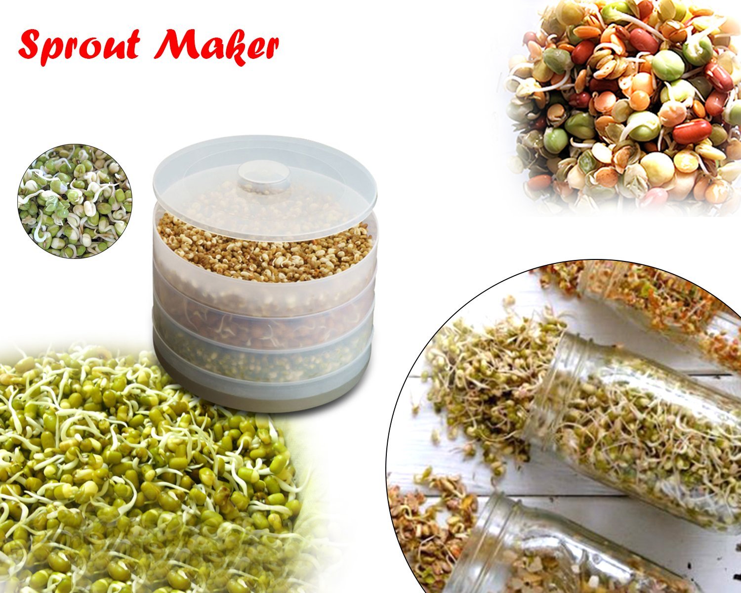 4-Compartment Sprout Maker – Virgin Plastic, Stackable Design for Hygienic Sprouting